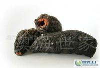 森河瑞星貿(mào)易 連接全球貿(mào)易的橋梁與紐帶